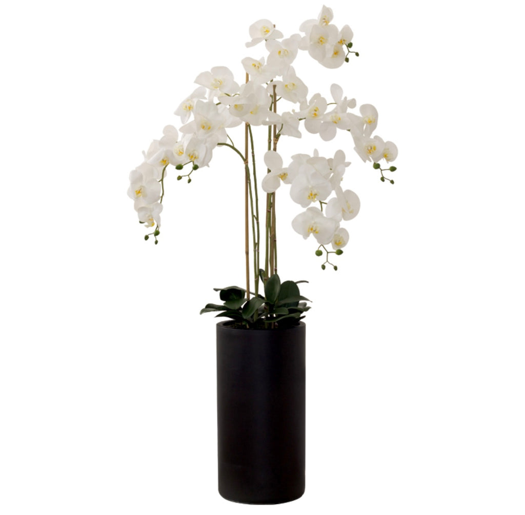 White real touch orchid 135cm