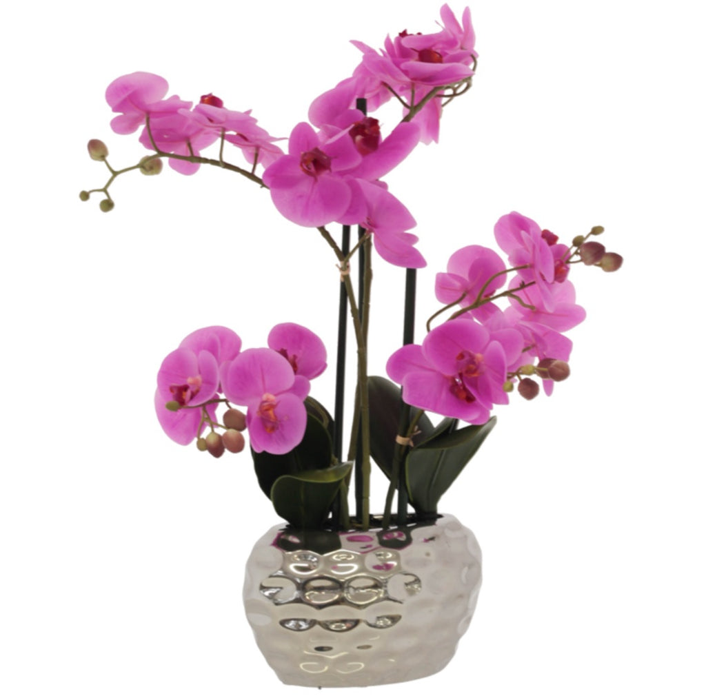 Cerise pink orchid in silver pot 58cm